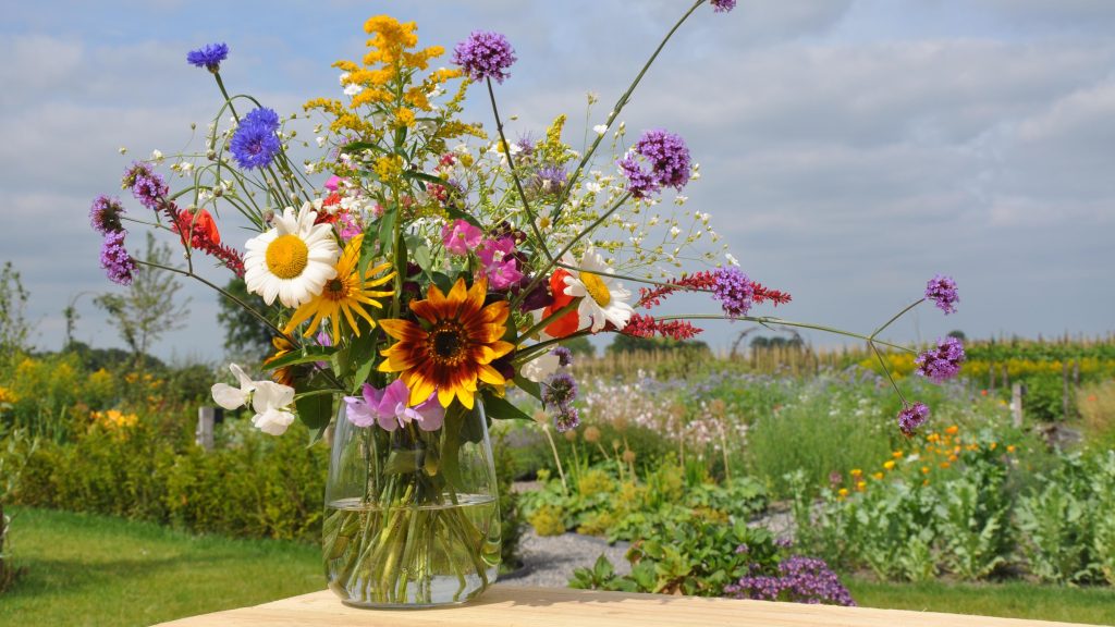 Homepagina Blommenveld