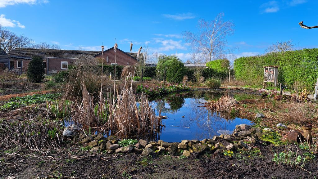 Pluktuin - Overzicht - Lente 01