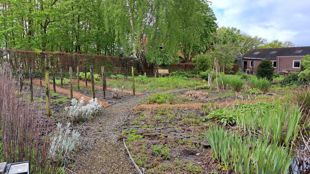 Pluktuin - Overzicht - Lente 02