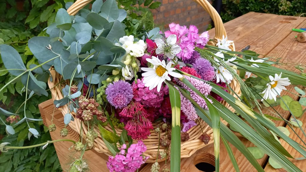 Pluktuin - Zelf plukken 07