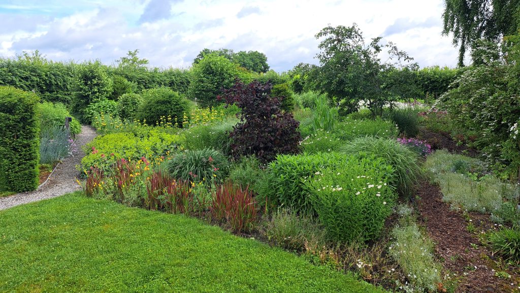Pluktuin - 2025 Overzicht - Zomer 04