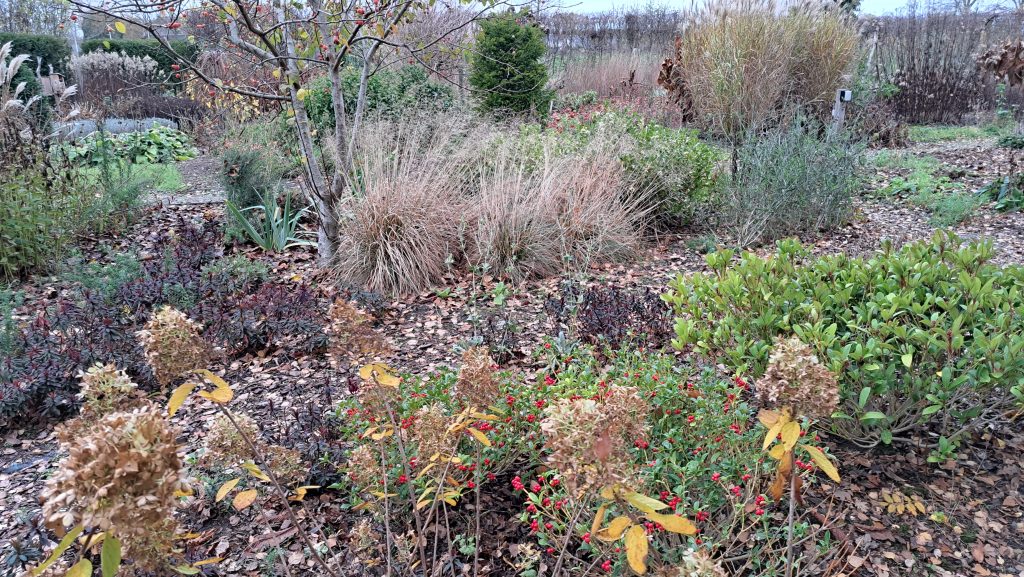 Pluktuin - Overzicht - Herfst 01