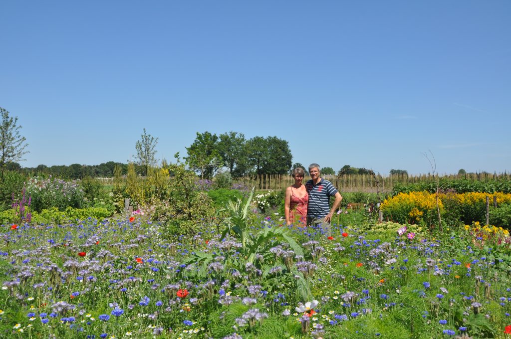 Pluktuin Historie - 06