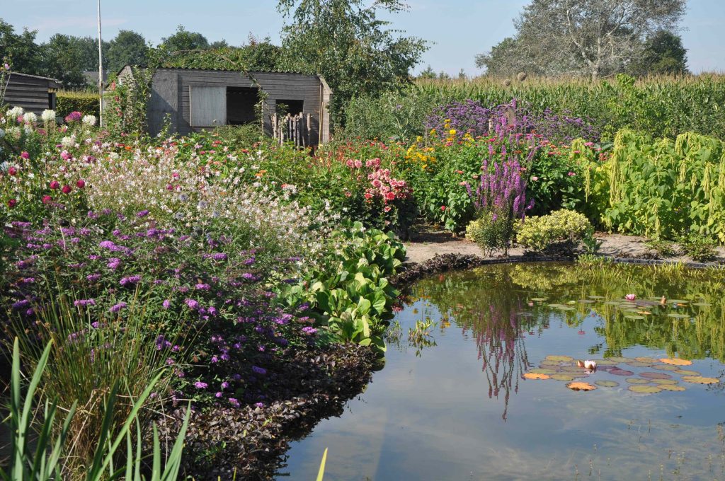 Pluktuin - 2019 Overzicht- Zomer 03