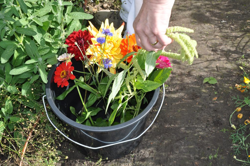 Pluktuin - Zelf plukken