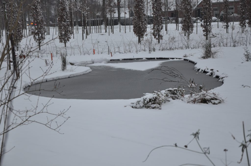 Pluktuin - Overzicht - Winter 01