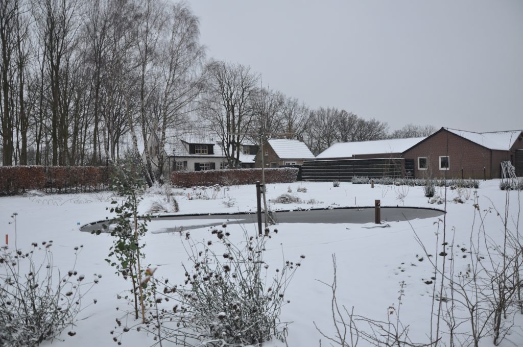 Pluktuin - Overzicht - Winter 02