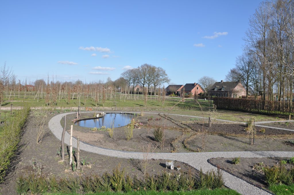 Pluktuin Historie - 03