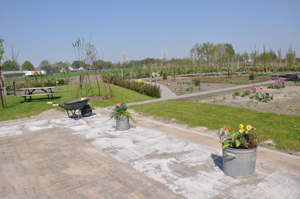 Pluktuin Historie - 04