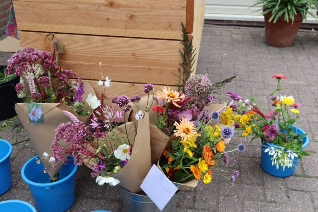 Pluktuin - Zelf plukken 02