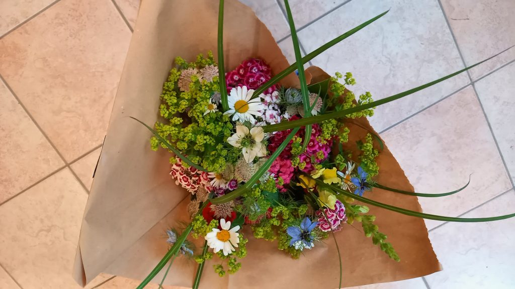 Pluktuin - Zelf plukken 08